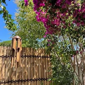  Appartement Avec Rez De Jardin